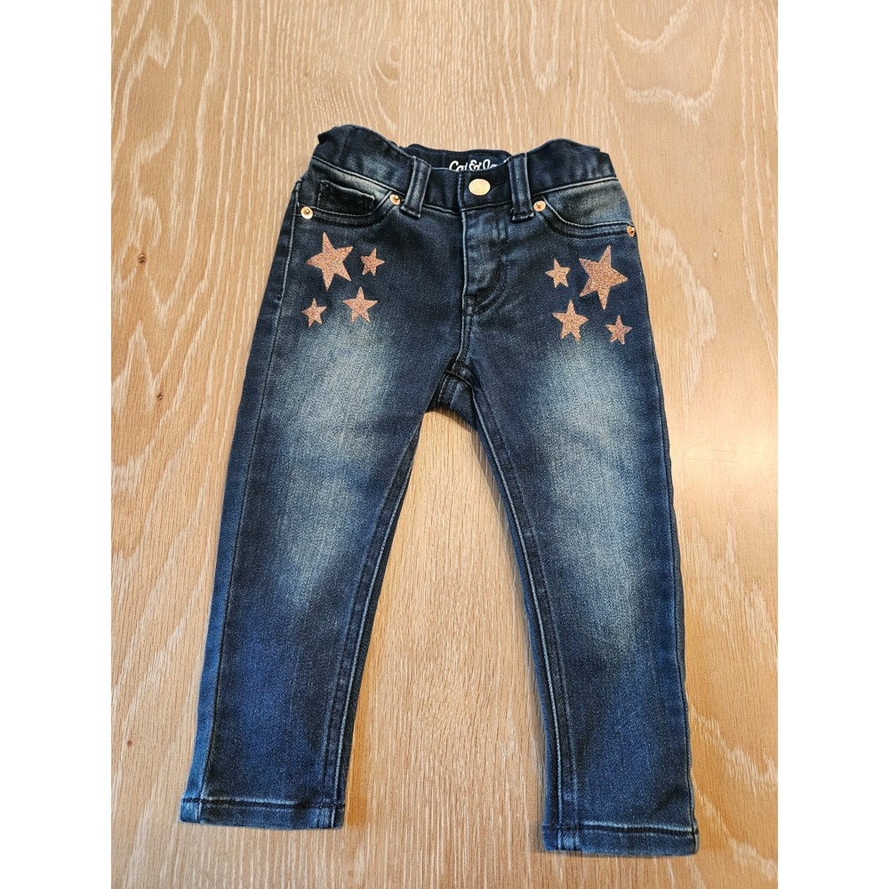 Cat and jack toddler pants 2t